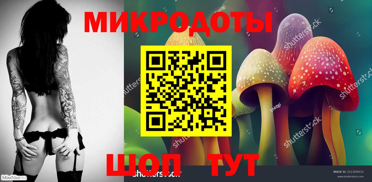 Галлюциногенные грибы Psilocybe Сарапул
